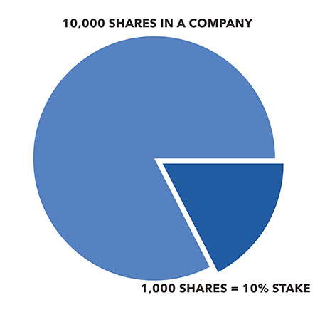 Pie chart representing share ownership in a company